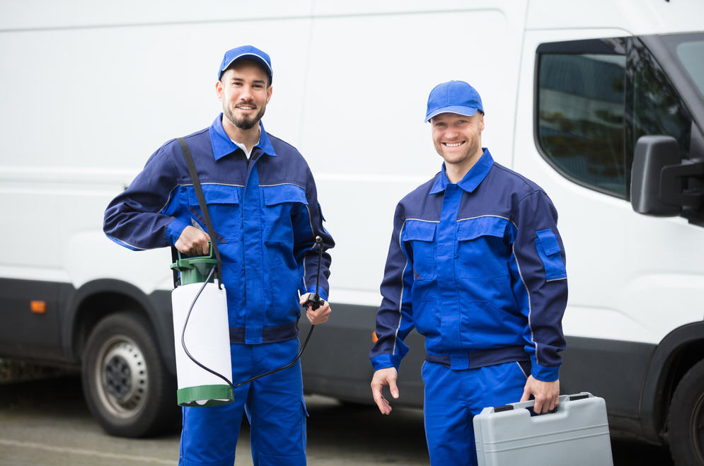 10 Best Pest Control Services In Mesquite Tx Exterminators